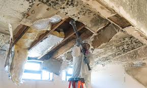 Best Water Damage & Mold Remediation  in Clifton Springs, NY